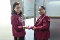Sweta-CSS